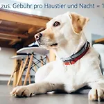 Kajuetesiebenzwo * Böhl
