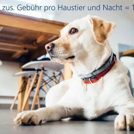 Kajuetesiebenzwo * Sankt Peter-Ording