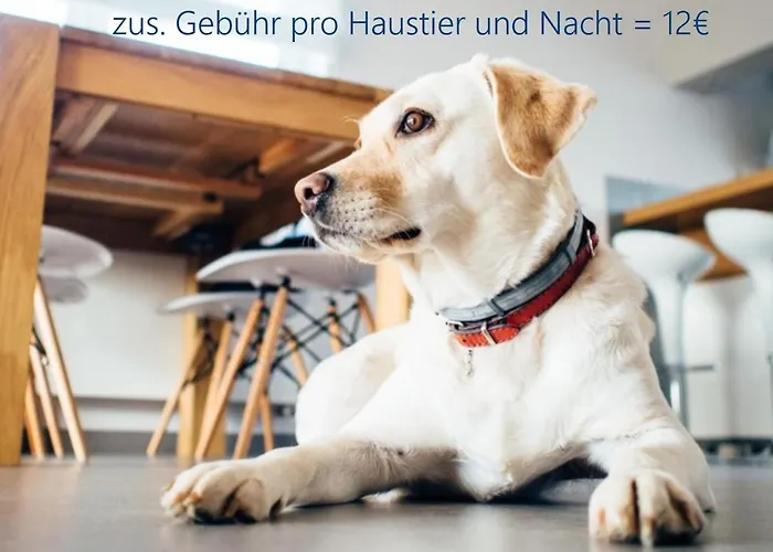 Kajuetesiebenzwo * Böhl